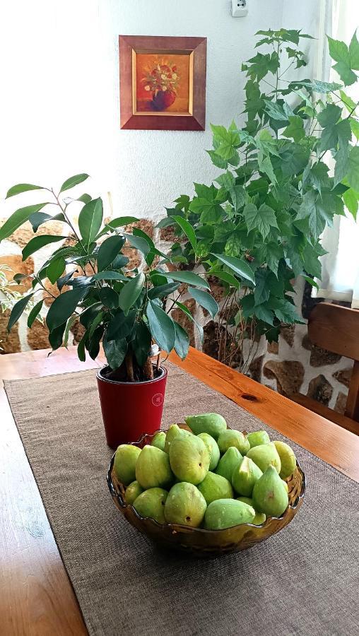 Guesthouse White Margarit Melnik  Buitenkant foto